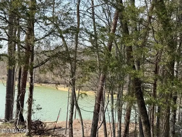 Summer Breeze Lane, New Tazewell, TN 37825