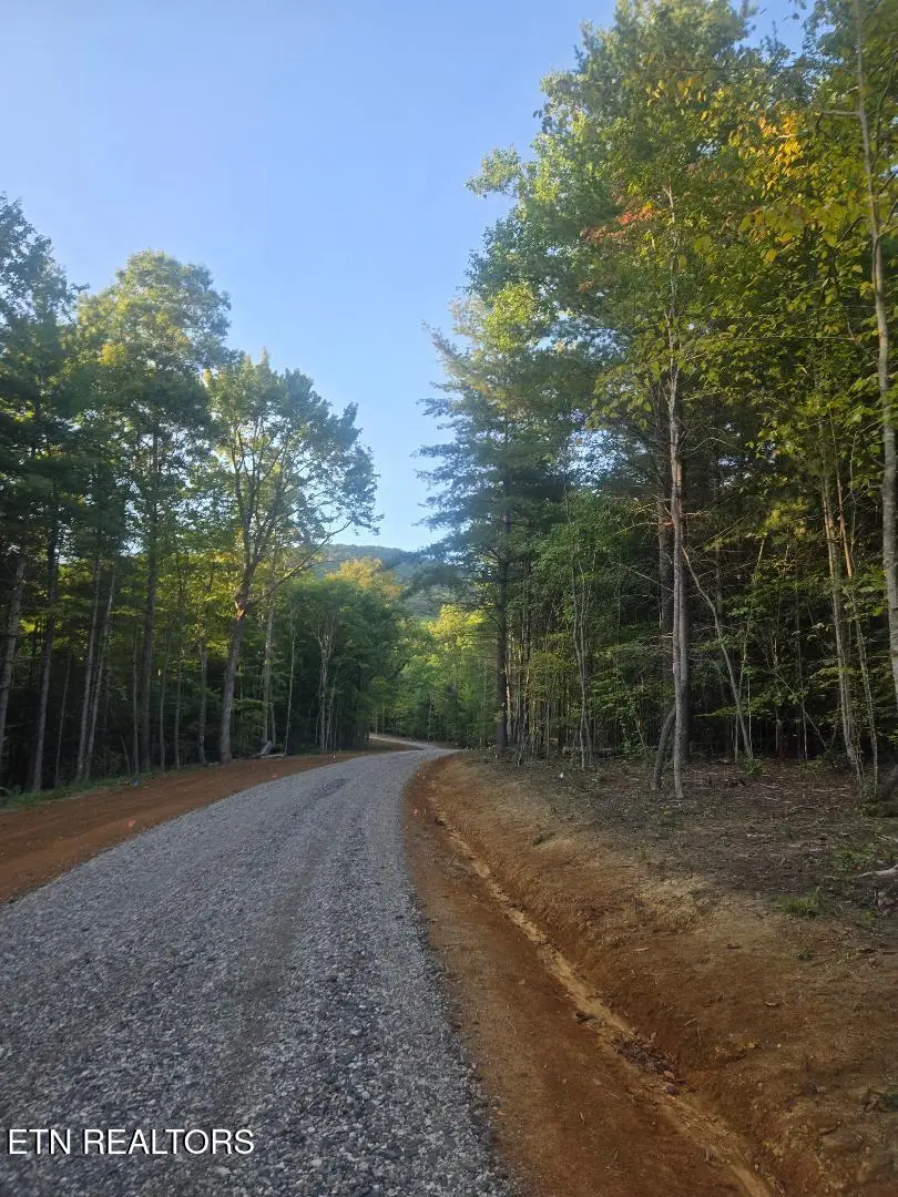 Lot 2 Bk I Ravenwood Drive, Wartburg, TN 37887 - #2
