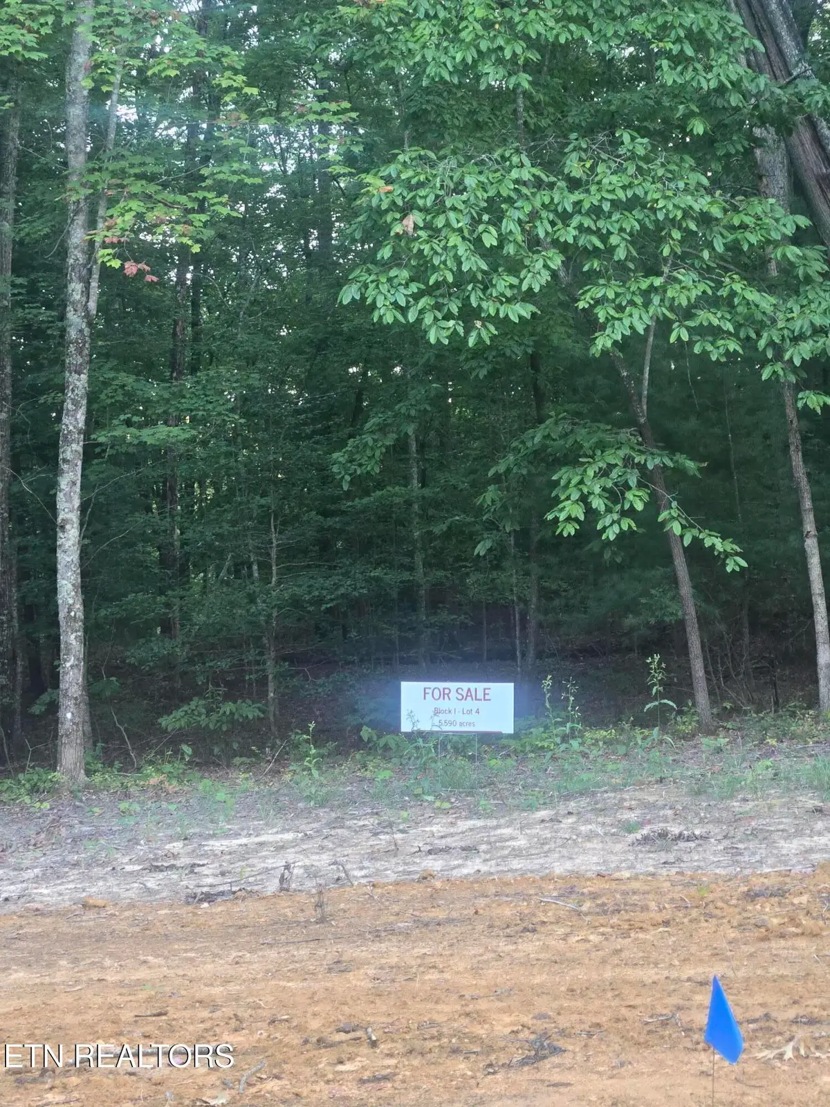 Lot 4 Bk I Ravenwood Drive, Wartburg, TN 37887 - #1