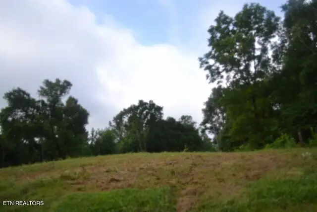 2390 Pea Ridge Fire Tower Rd, Celina, TN 38551 - #2