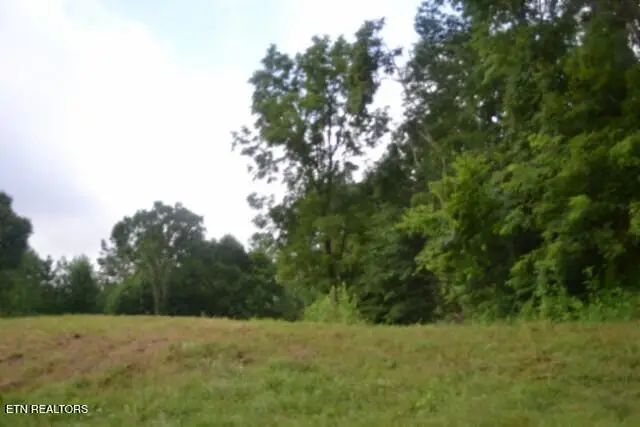 2390 Pea Ridge Fire Tower Rd, Celina, TN 38551 - #3