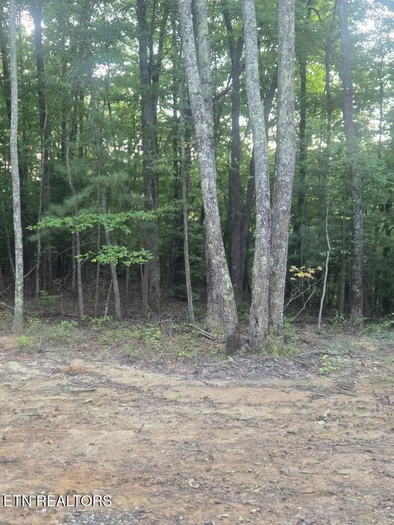 Lot 5 Bk I Ravenwood Drive, Wartburg, TN 37887 - #2