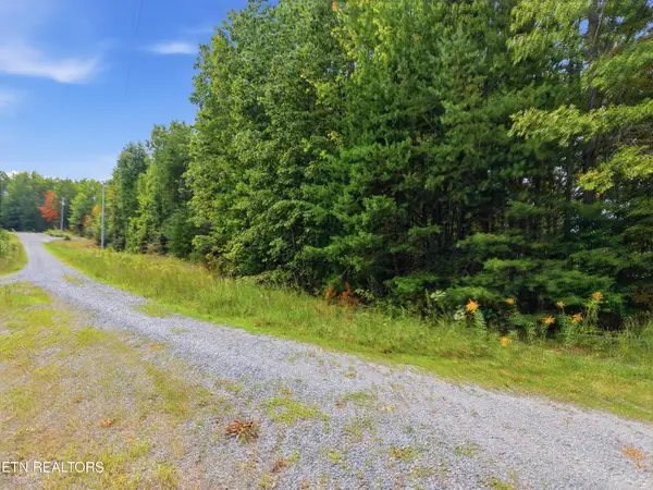 335 Mockingbird Lane, Wilder, TN 38589