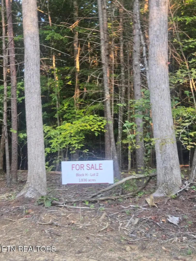 Lot 2 Bk H Ravenwood Drive, Wartburg, TN 37887 - #1
