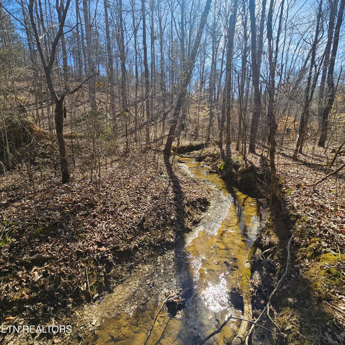 Lick Creek Rd, Tellico Plains, TN 37385 - #1