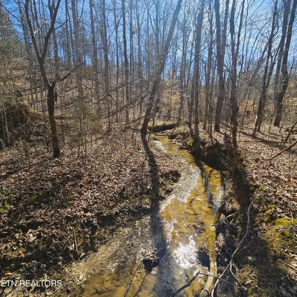 Lick Creek Rd, Tellico Plains, TN 37385