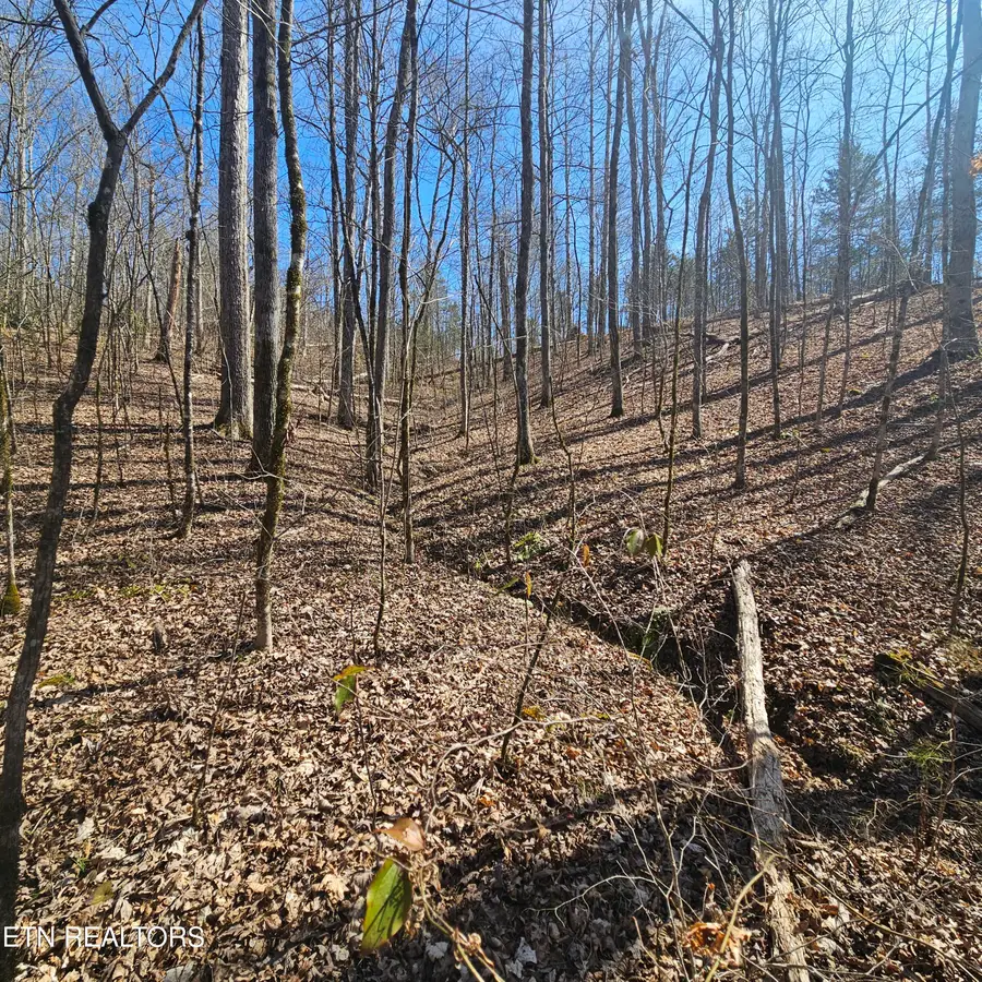 Lick Creek Rd, Tellico Plains, TN 37385 - #2