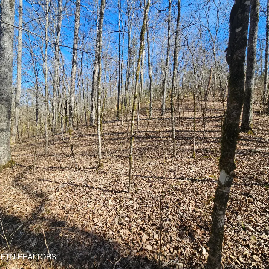 Lick Creek Rd, Tellico Plains, TN 37385 - #3