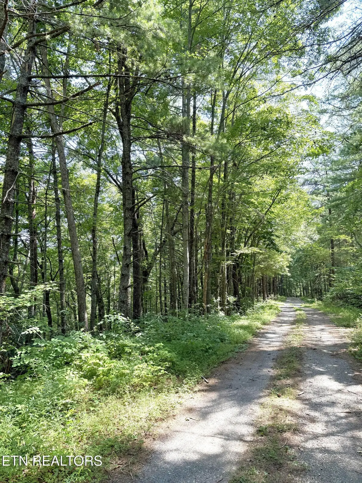 Lot 4 Oakwood Rd, Walland, TN 37886 - #1