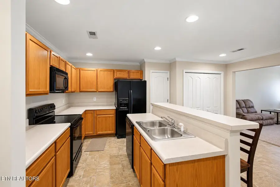 3707 Sean Grove Way, Knoxville, TN 37921 - #3