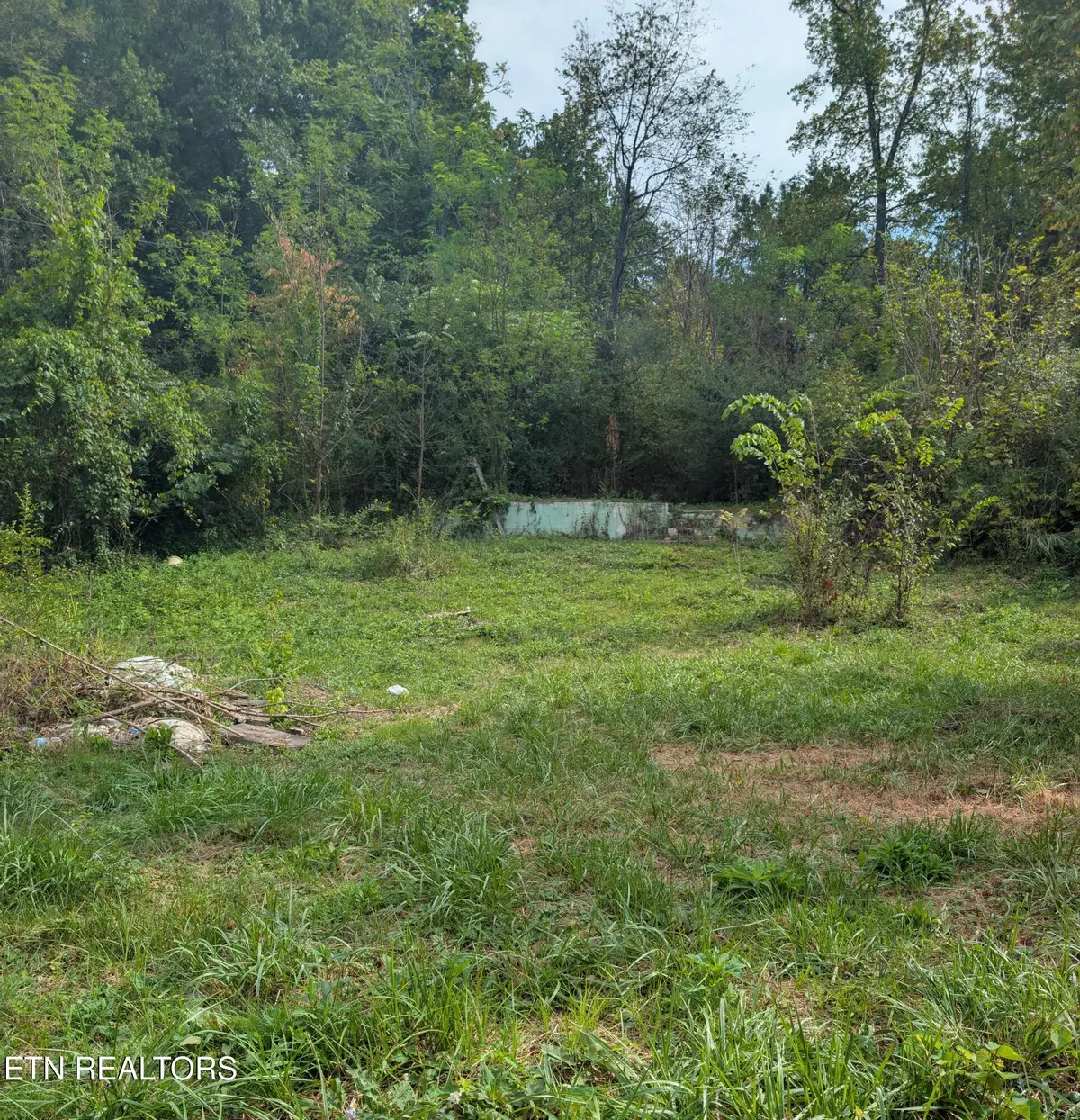 23 Martin Lane, Middlesboro, KY 40965 - #1