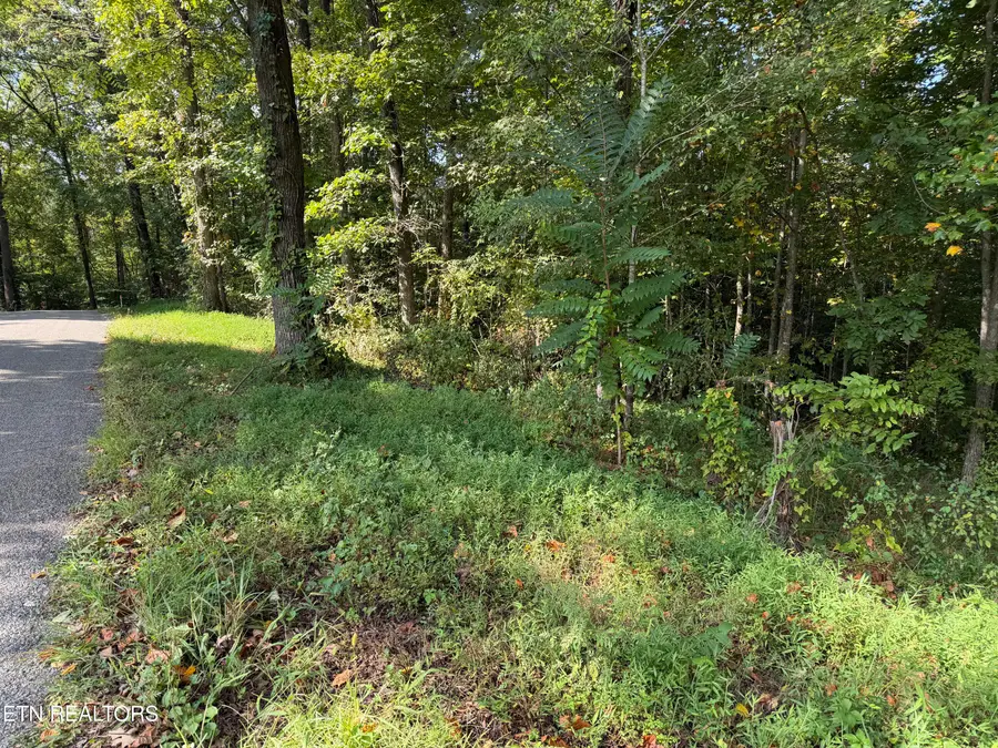 22.35 Ac Moore Knob Rd, Allardt, TN 38504 - #2