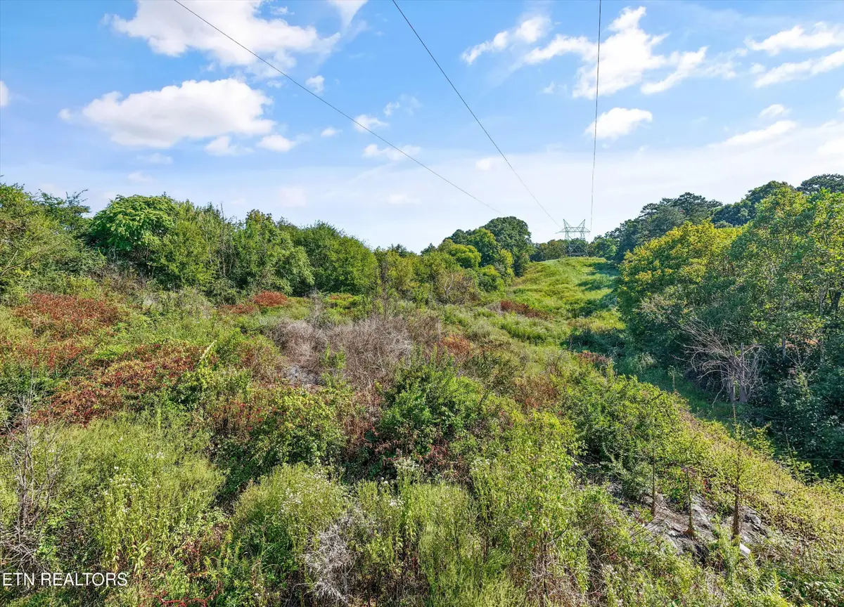 Williams Hill Drive, Rockford, TN 37853 - #1