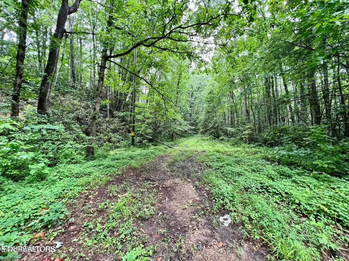 Sycamore St, Sevierville, TN 37876 - #1