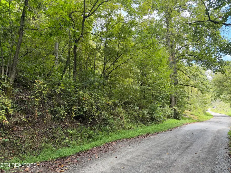 0 Snake Hollow Rd, Sneedville, TN 37869 - #2