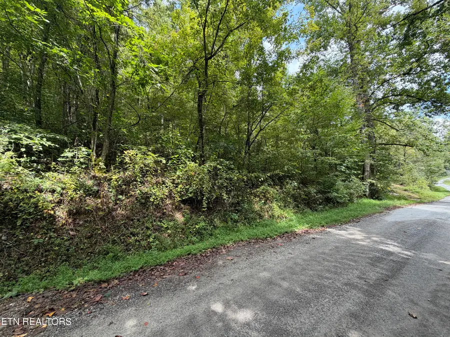 0 Snake Hollow Rd, Sneedville, TN 37869 - #3