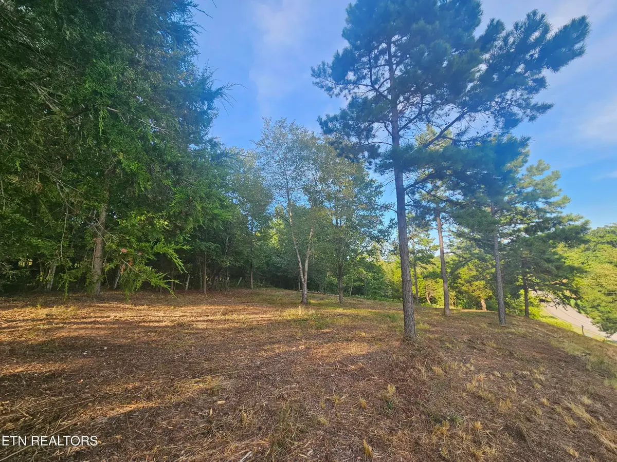 103 & 105 Docks Of The Bay Drive, Rockwood, TN 37854 - #1