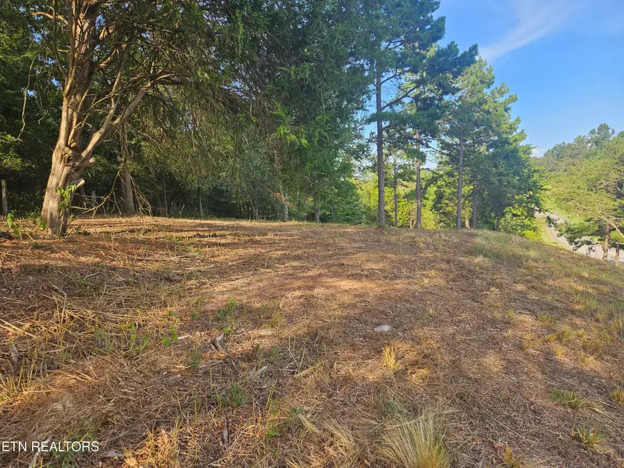 103 & 105 Docks Of The Bay Drive, Rockwood, TN 37854 - #2