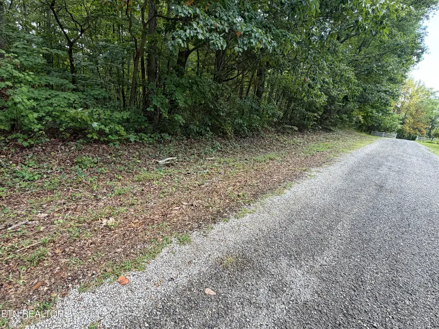3.61 ac Long View Lane, Jamestown, TN 38556 - #2