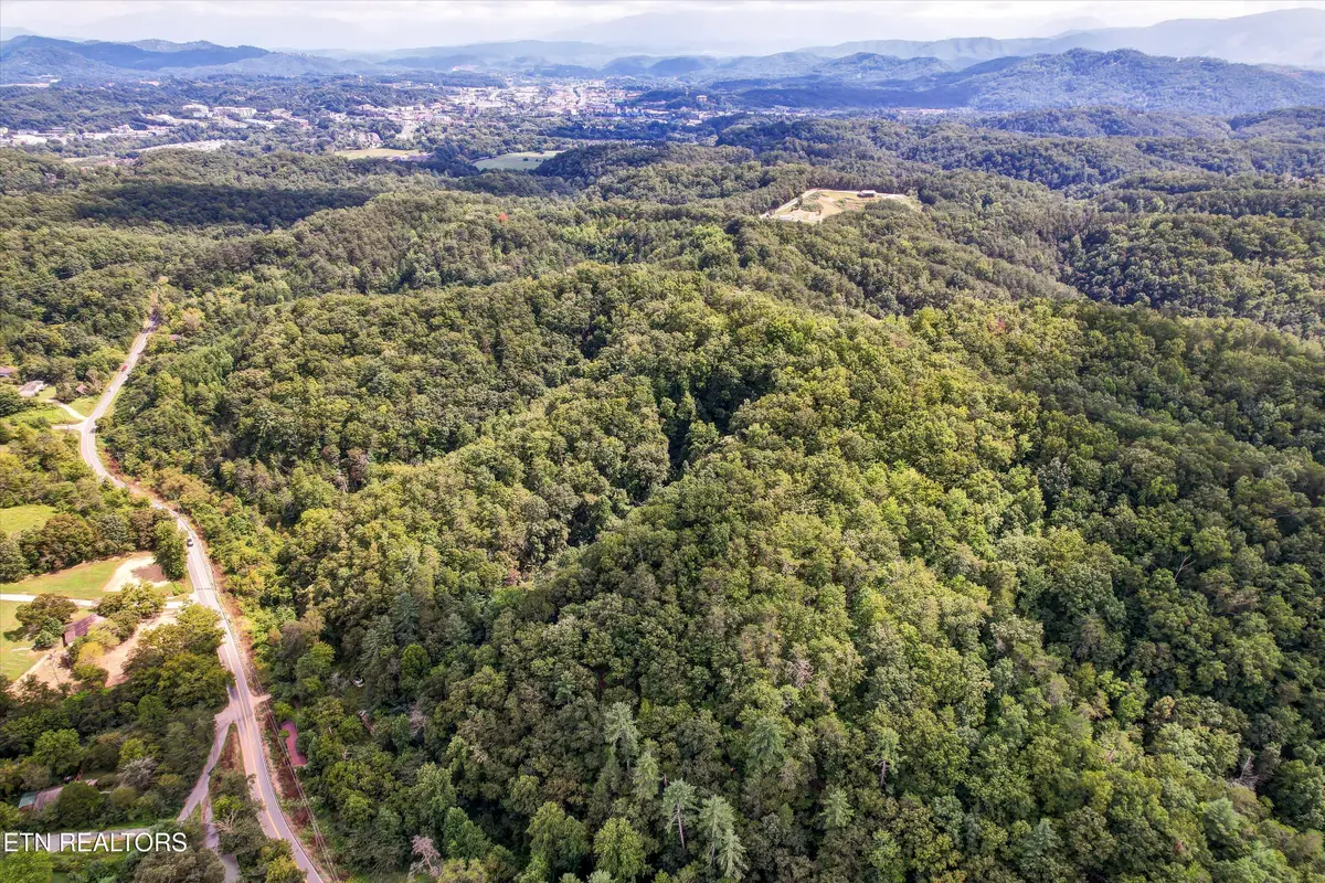 1316 River Divide Rd, Sevierville, TN 37862 - #1