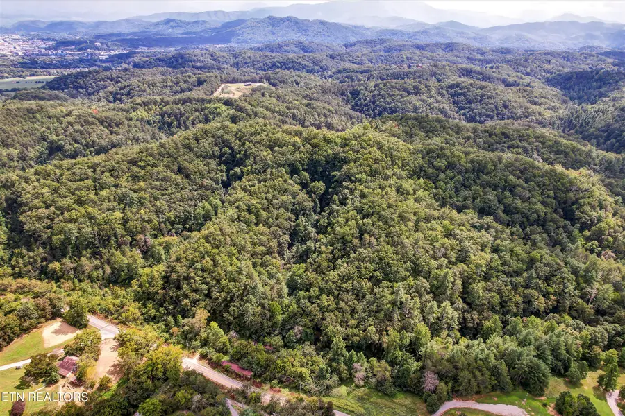 1316 River Divide Rd, Sevierville, TN 37862 - #3