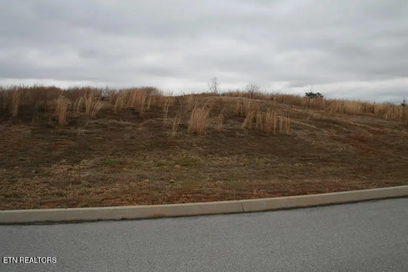 Lot 93 Serenity Drive, Harriman, TN 37748 - #3