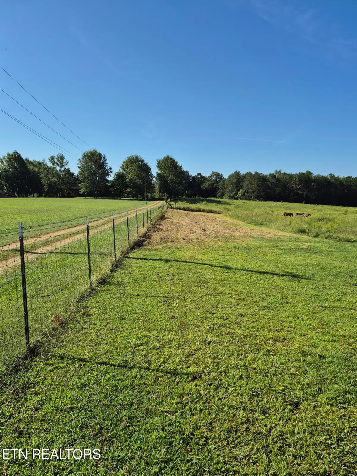 293 County Road 607, Athens, TN 37303 - #1