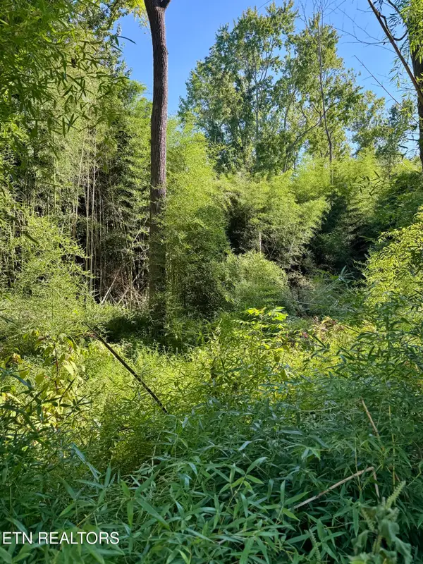 S Lenoir Ave, Rockwood, TN 37854