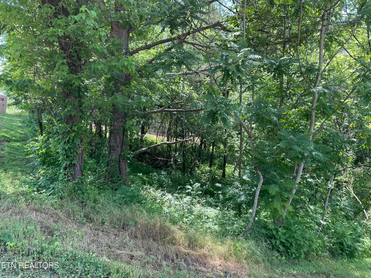 163 Utsesti, Loudon, TN 37774 - #1