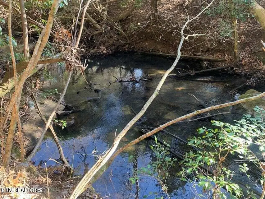 Tract 2 Lone Wolf Trail Tr, Spencer, TN 38585 - #1