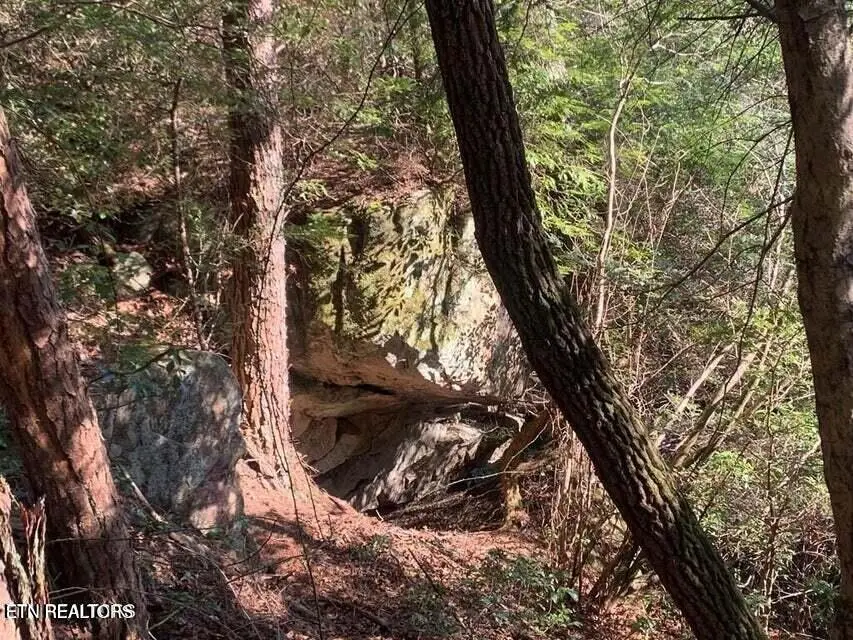 Tract 2 Lone Wolf Trail Tr, Spencer, TN 38585 - #3