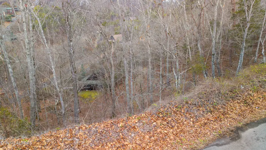 Lot 65 Wingspan Drive, Sevierville, TN 37876 - #3