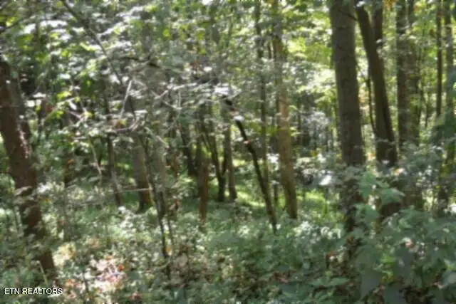 2121 Riley Creek Rd, Whitleyville, TN 38588 - #1
