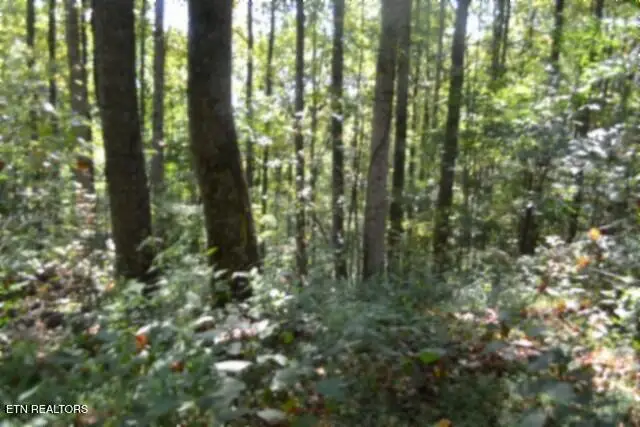2121 Riley Creek Rd, Whitleyville, TN 38588 - #3