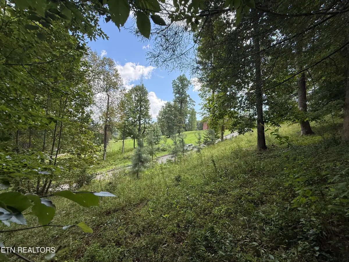 Foxwood Drive, Caryville, TN 37714 - #1