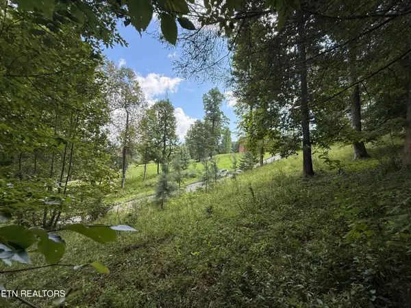 Foxwood Drive, Caryville, TN 37714