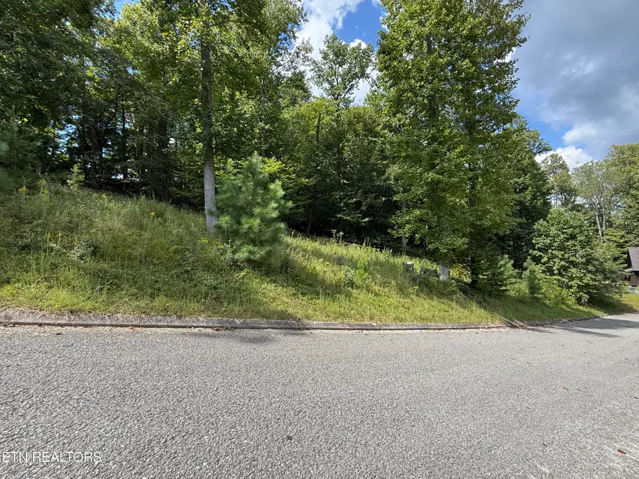 Foxwood Drive, Caryville, TN 37714 - #2