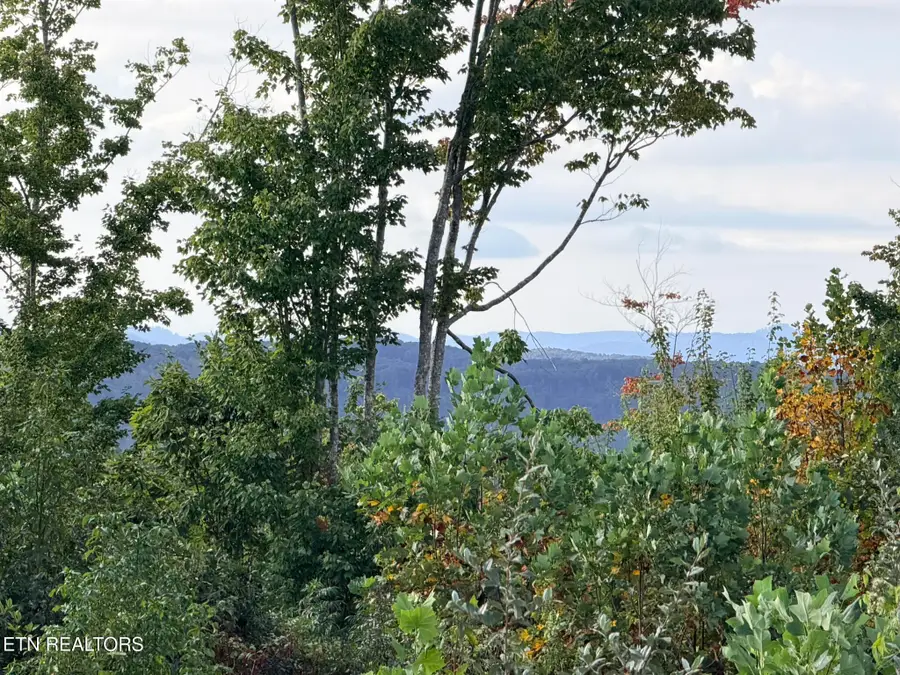 Elb Private Drive #Lot 2, Huntsville, TN 37756 - #3