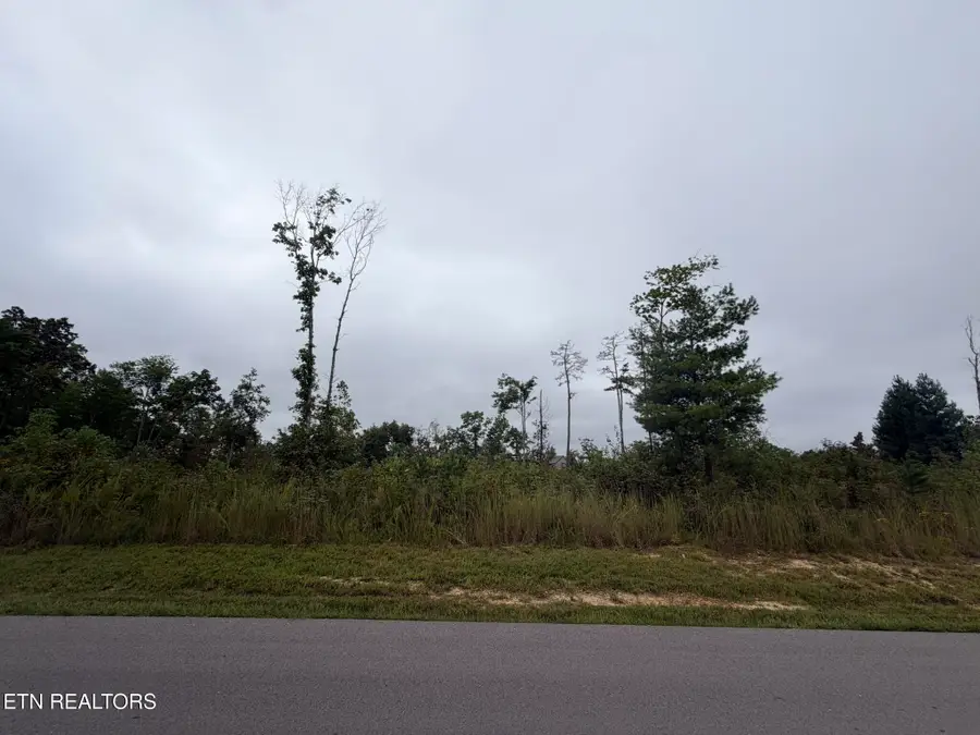 Elb Private Drive #Lot 17/18, Huntsville, TN 37756 - #2