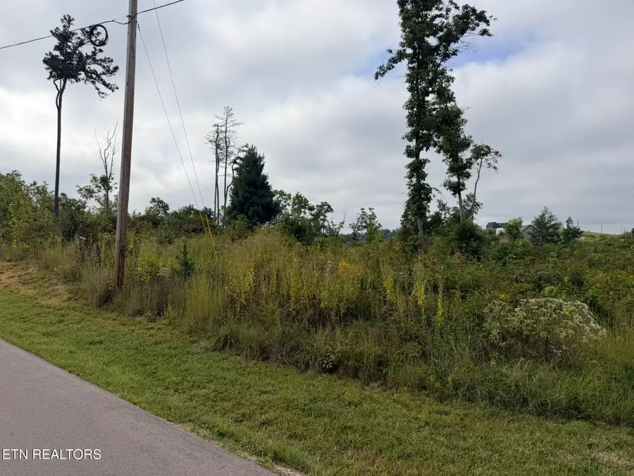 Elb Private Drive #Lot 17/18, Huntsville, TN 37756 - #3