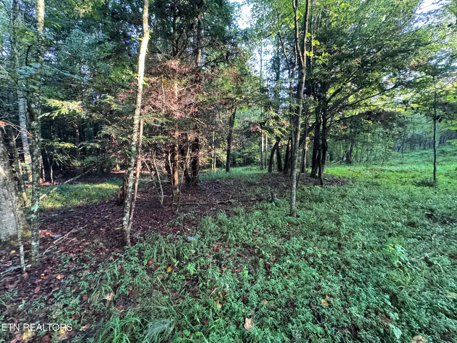 Davis Rd, Deer Lodge, TN 37726 - #2