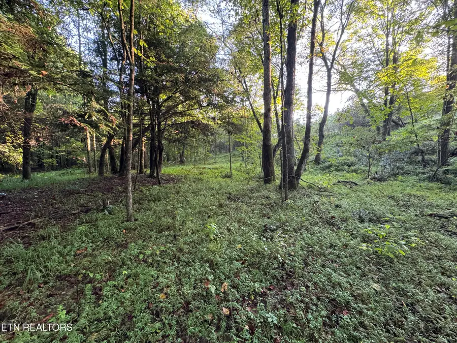 Davis Rd, Deer Lodge, TN 37726 - #3