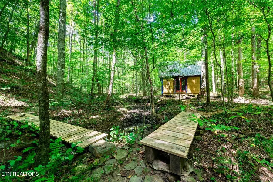 755 Bear Branch Rd, Wartburg, TN 37887 - #2