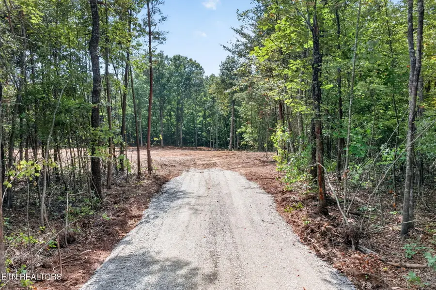 205 High Flats Rd, Monterey, TN 38574 - #3