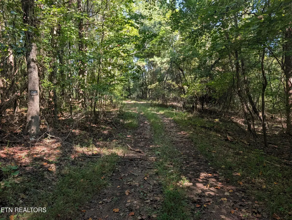 665 Lakewood Village Rd, Spring City, TN 37381 - #1