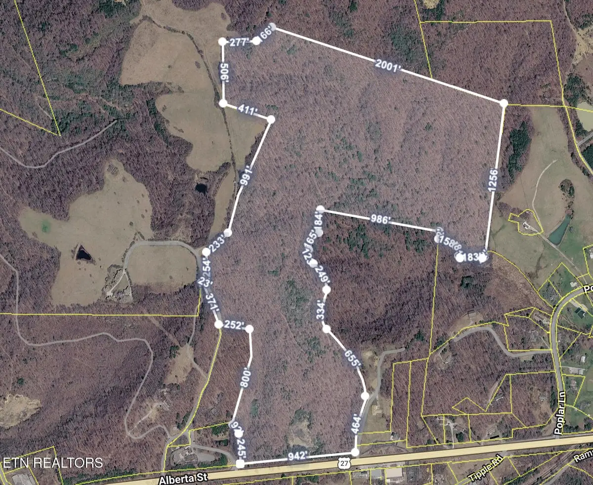 Bear Creek Rd, Oneida, TN 37841 - #1
