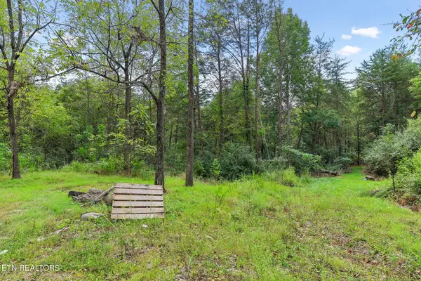 Sawmill Rd #3, Palmer, TN 37365