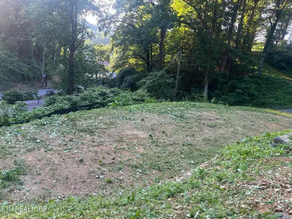 229 Silverbell Lane #3301, Gatlinburg, TN 37738