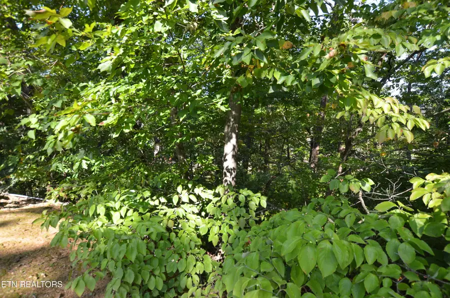 Hawks Nest Way, Sevierville, TN 37862 - #2