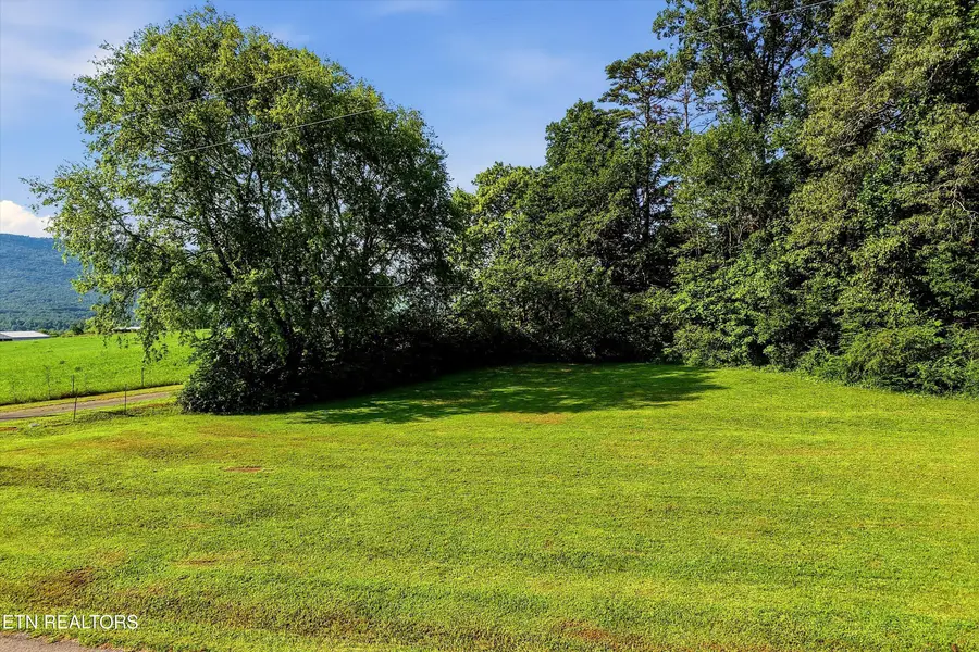 Lot 2 County Road 882, Etowah, TN 37331 - #2